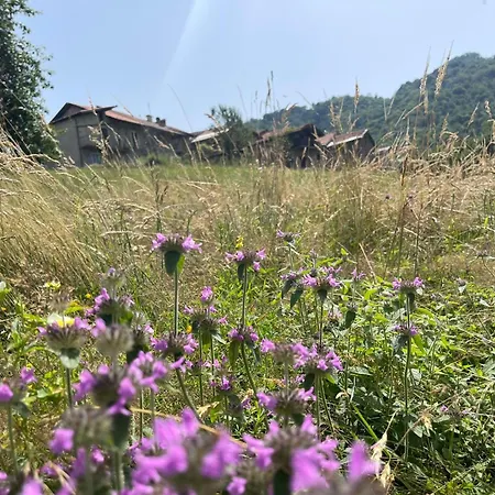Il Rifugio Di Erika Semesterbostad *
