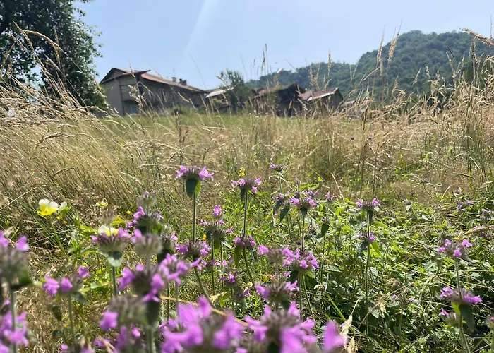 Il Rifugio Di Erika Сasa de vacaciones *